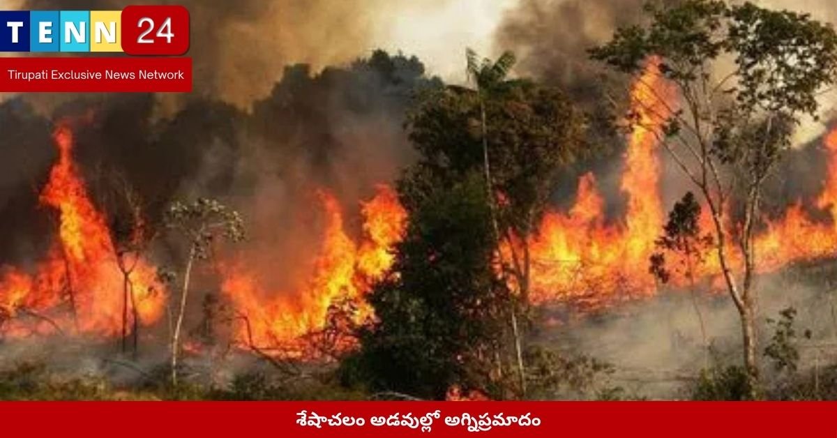 శేషాచలం అడవుల్లో అగ్నిప్రమాదం