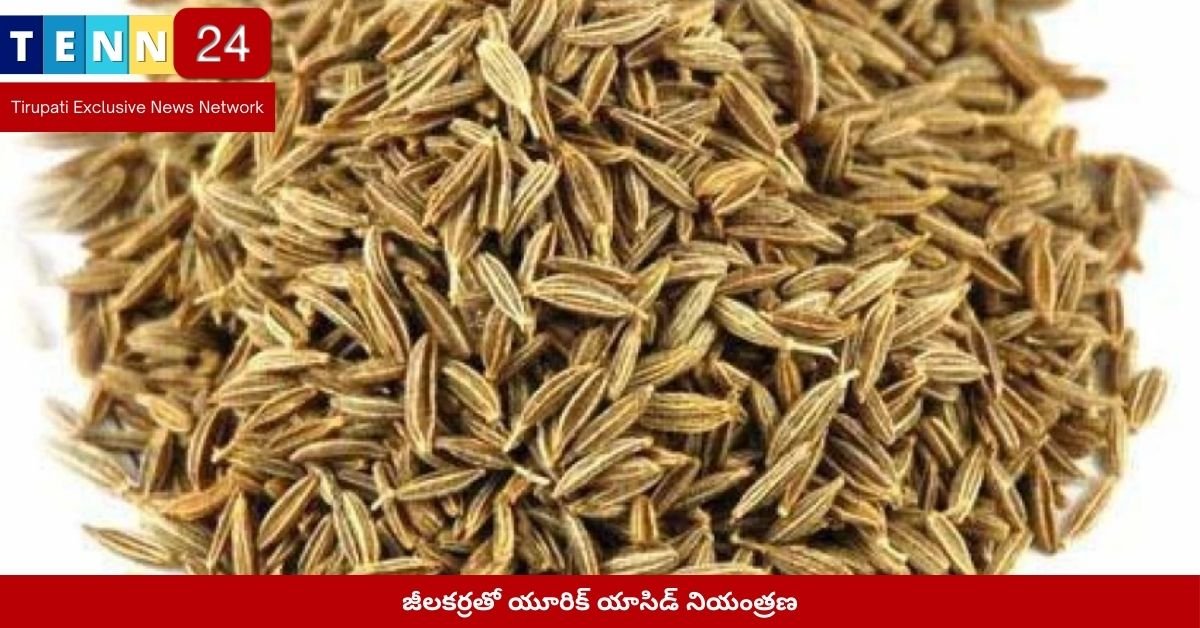 జీలకర్రతో యూరిక్ యాసిడ్ నియంత్రణ