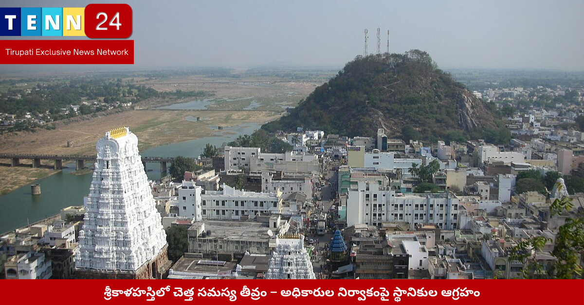 పిట్టలవారి వీధిలో పేరుకుపోయిన చెత్త దిబ్బ