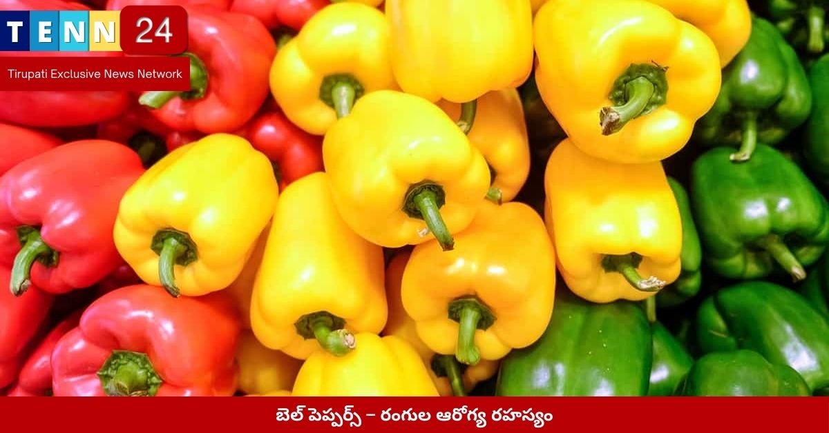 బెల్ పెప్పర్స్ – రంగుల ఆరోగ్య రహస్యం