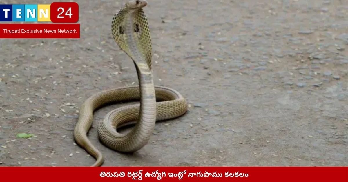 తిరుపతి రిటైర్డ్ ఉద్యోగి ఇంట్లో నాగుపాము కలకలం
