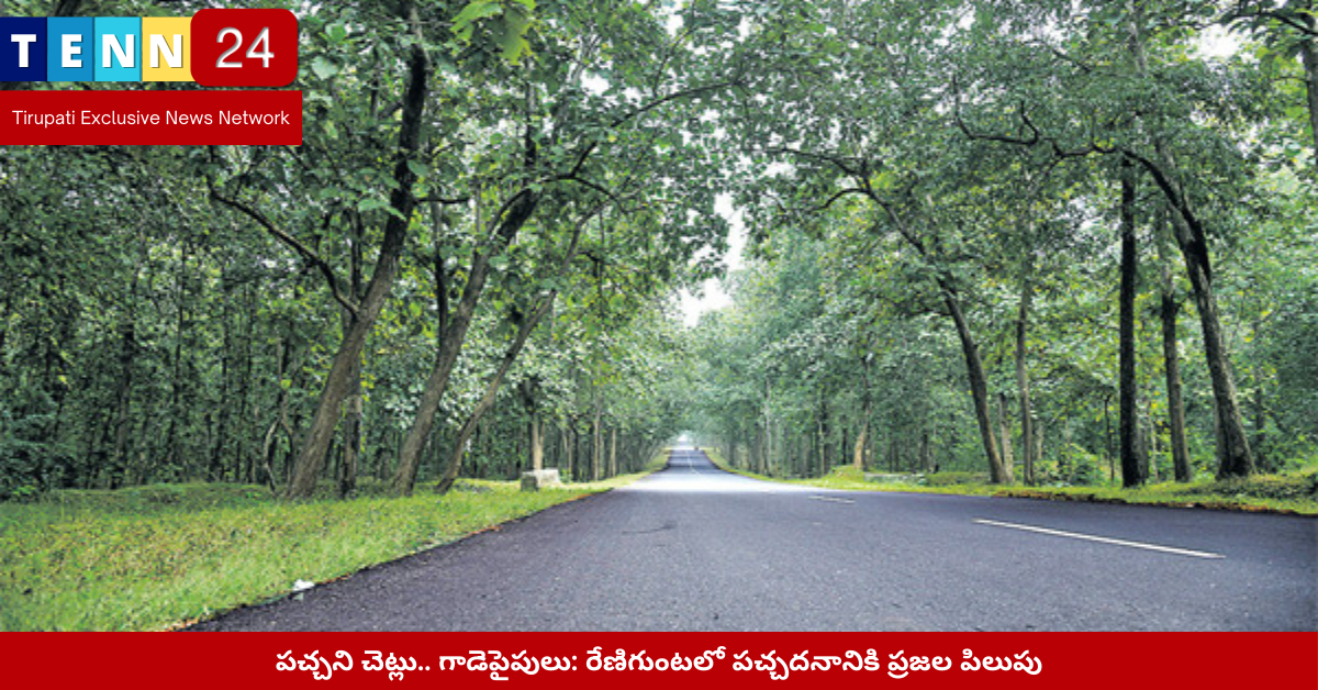 రేణిగుంటలో ఎండిపోయిన చెట్లు మరియు పచ్చదనాన్ని కోరుతున్న ప్రజలు