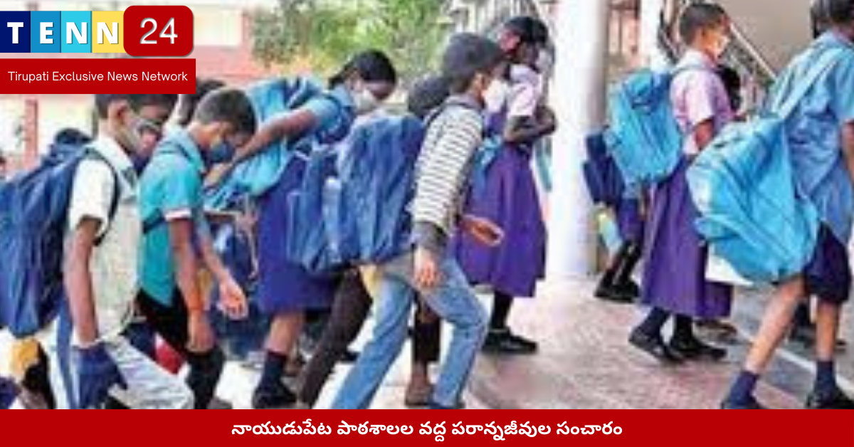 నాయుడుపేట పాఠశాలల వద్ద పరాన్నజీవుల సంచారం