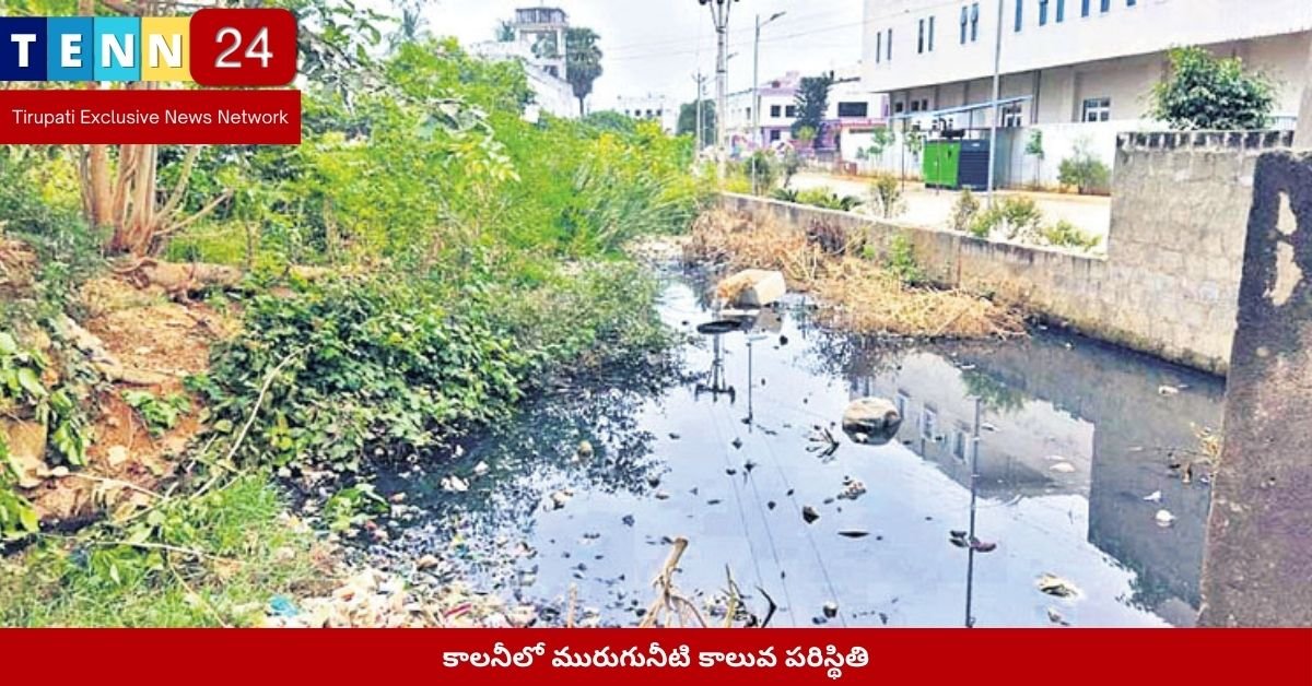 కాలనీలో మురుగునీటి కాలువ పరిస్థితి