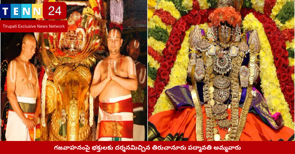 గజవాహనంపై పద్మావతి అమ్మవారి శోభాయాత్ర