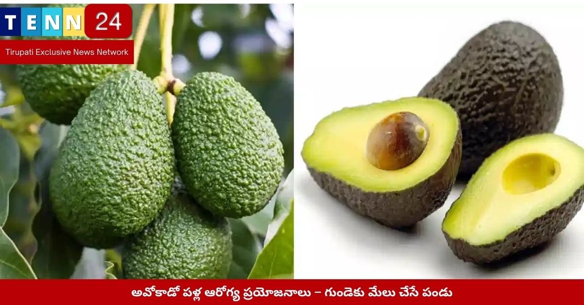 అవోకాడో పళ్ల ఆరోగ్య ప్రయోజనాలు – గుండెకు మేలు చేసే పండు