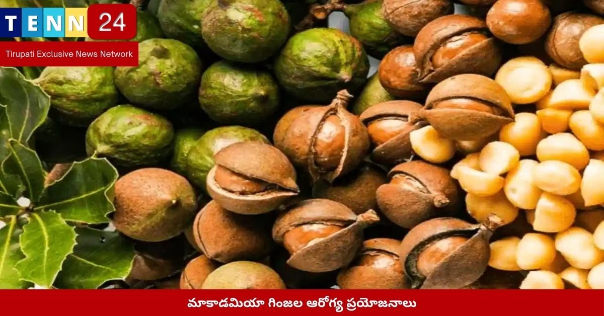 మాకాడమియా గింజల ఆరోగ్య ప్రయోజనాలు