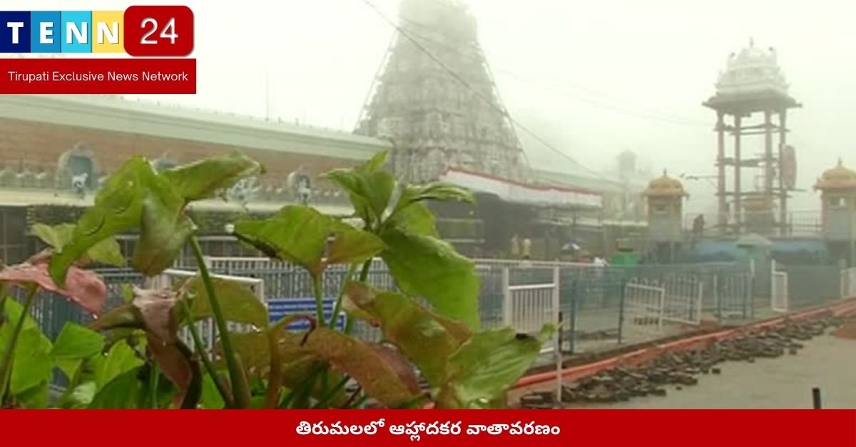 తిరుమలలో ఆహ్లాదకర వాతావరణం