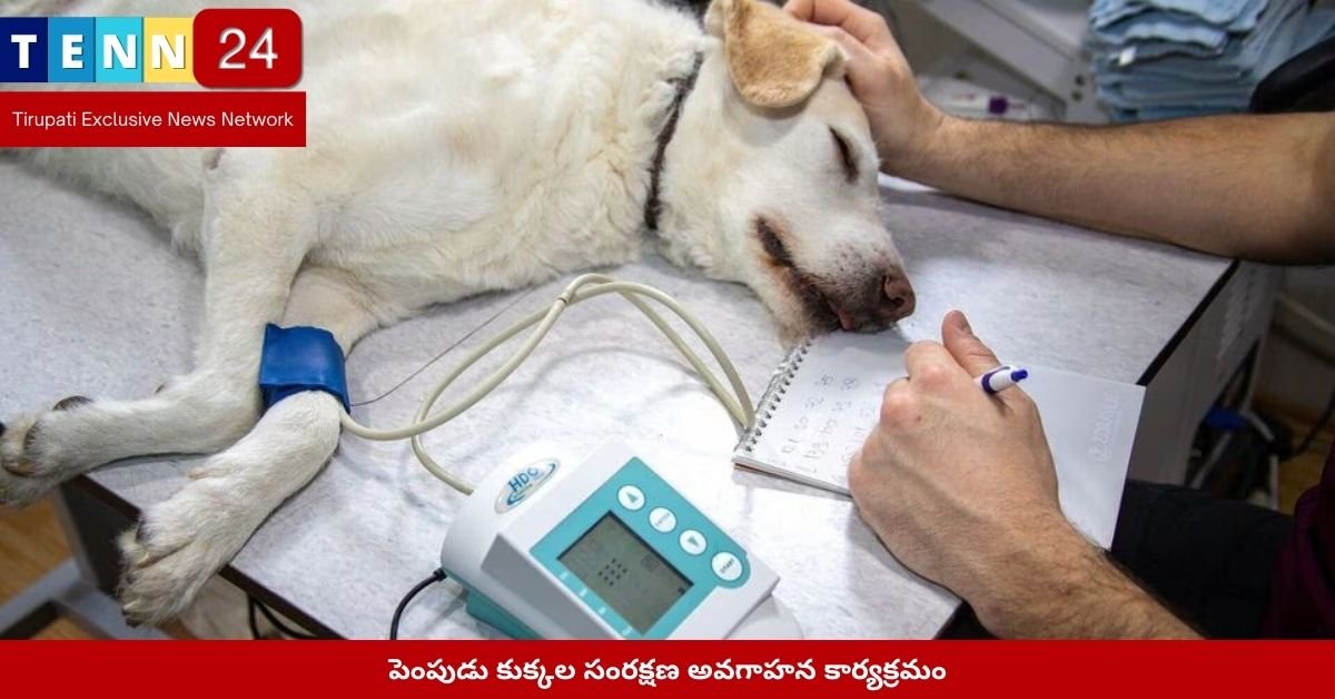 పెంపుడు కుక్కల సంరక్షణ అవగాహన కార్యక్రమం