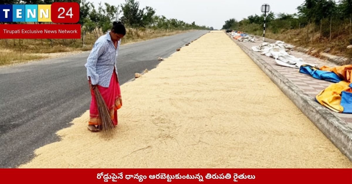 రోడ్డుపైనే ధాన్యం ఆరబెట్టుకుంటున్న తిరుపతి రైతులు