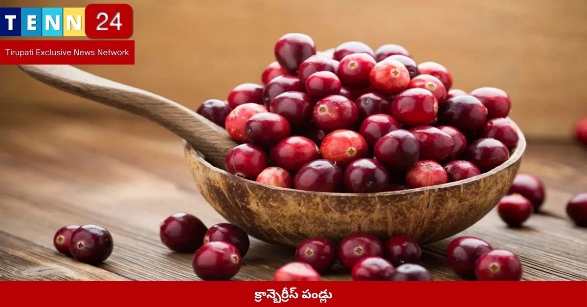 క్రాన్బెర్రీస్ పండ్లు