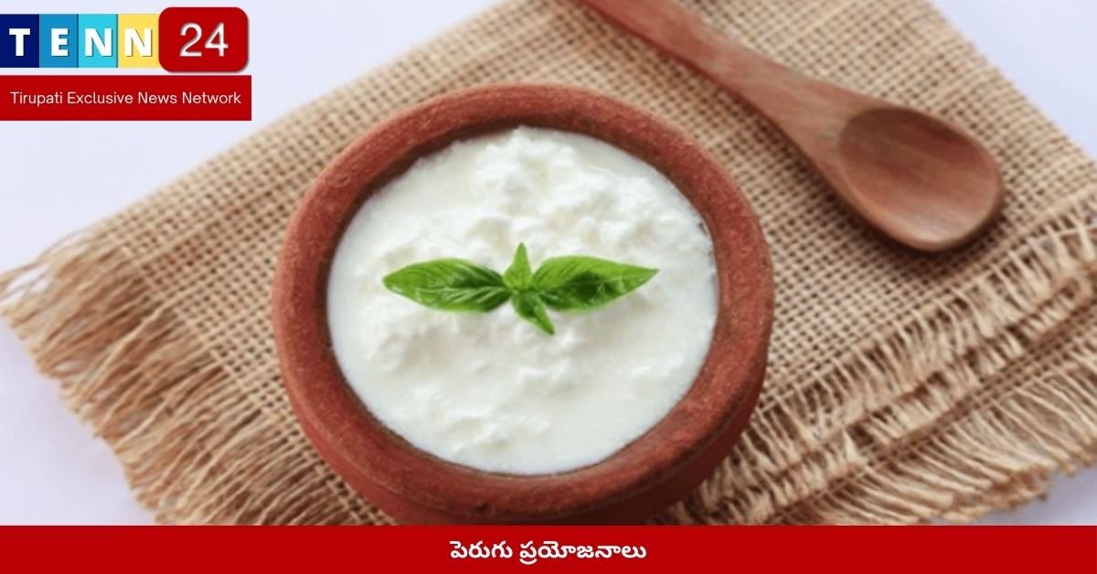 పెరుగు ప్రయోజనాలు