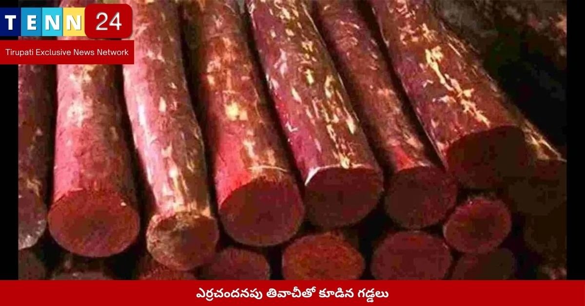 ఎర్రచందనపు తివాచీతో కూడిన గడ్డలు