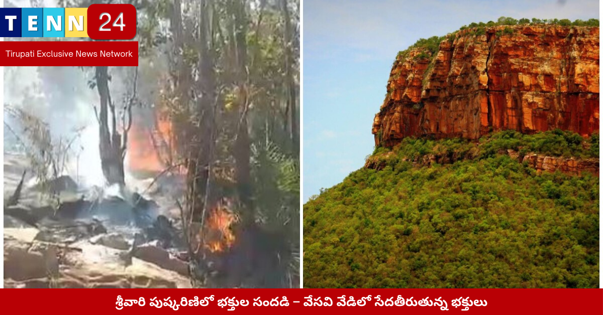 శేషాచలం అడవుల్లో అగ్ని ప్రమాదం