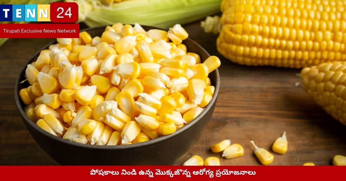 పోషకాలు నిండి ఉన్న మొక్కజొన్న ఆరోగ్య ప్రయోజనాలు