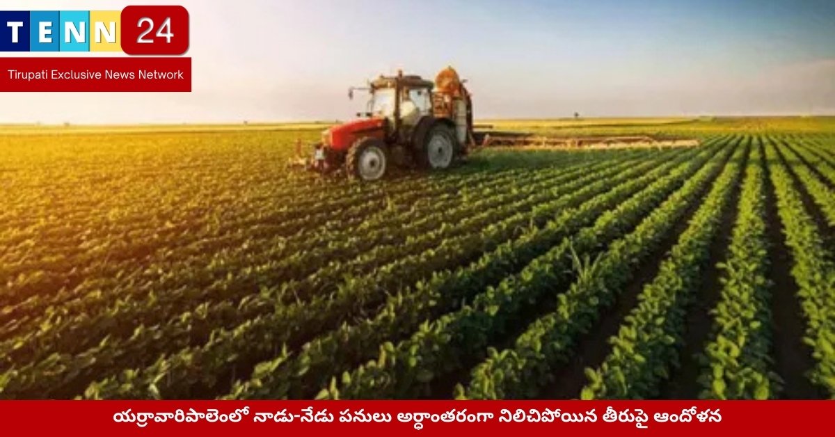 బంగాళాపురం మార్కెట్‌లో పశువులకు ఆహారంగా మారిన మామిడికాయలు