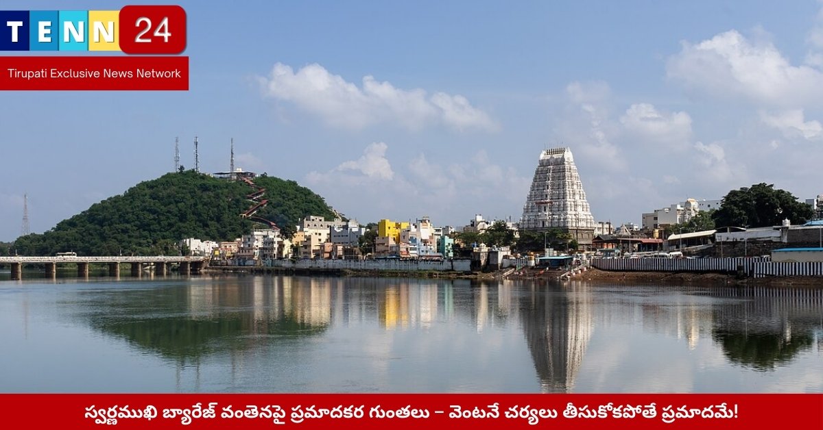 స్వర్ణముఖి వంతెనపై ప్రమాదకర గుంతలు