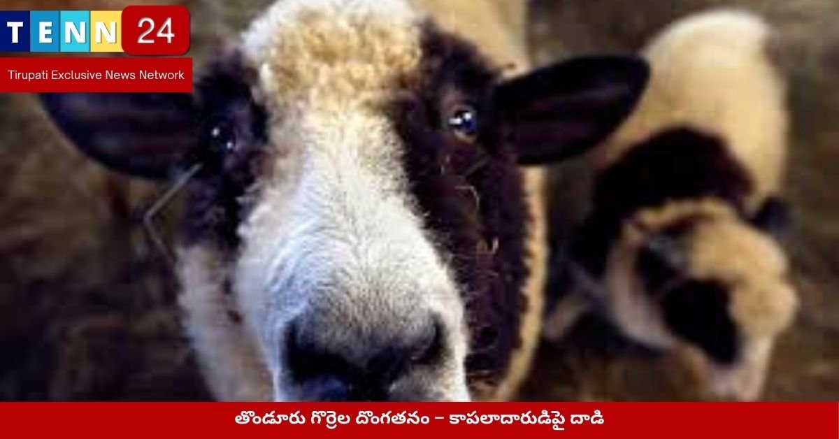 తొండూరు గొర్రెల దొంగతనం – కాపలాదారుడిపై దాడి