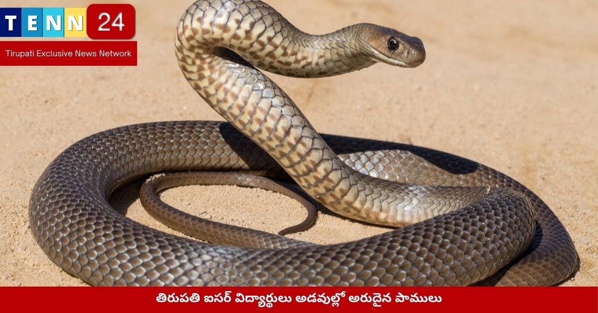 ఐసర్ పరిశోధనలో బంధించిన అరుదైన ప్రకృతి దృశ్యం