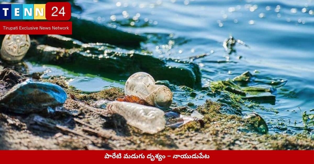 పారేటి మడుగు ఆక్రమణ దృశ్యం – నాయుడుపేట