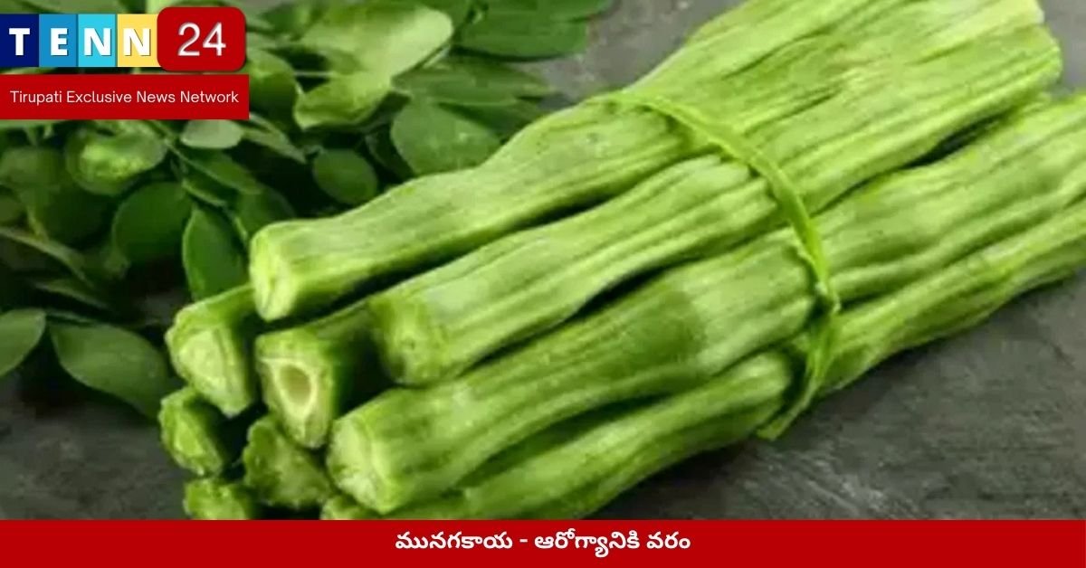 మునగకాయ - ఆరోగ్యానికి వరం