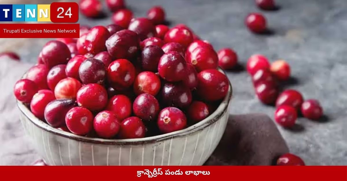 క్రాన్బెర్రీస్ పండు లాభాలు