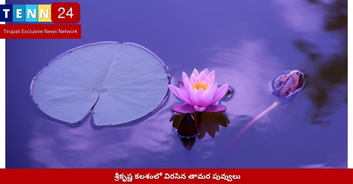 శ్రీకృష్ణ కలశంలో విరసిన తామర పువ్వులు
