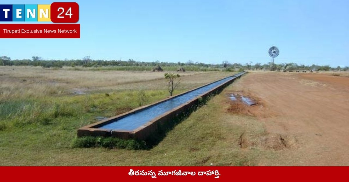 తీరనున్న మూగజీవాల దాహార్తి.