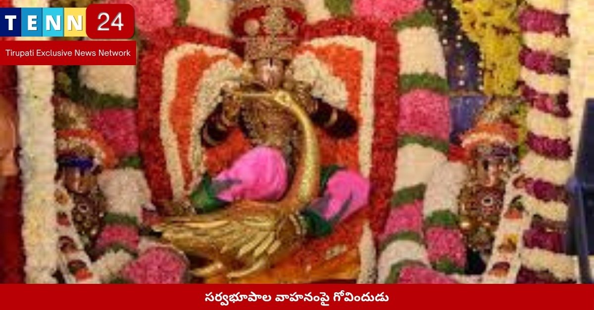 గోవిందుడు సర్వభూపాల వాహనంపై తిరుపతి బ్రహ్మోత్సవాలు