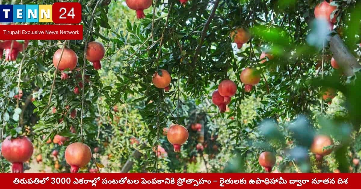 తిరుపతి రైతుల కోసం పంటతోటల పథకం