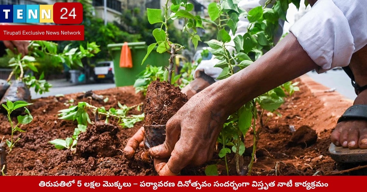 మంగమపేటలో మొక్కల పెంపకం – పర్యావరణ దినోత్సవం సందర్భంగా