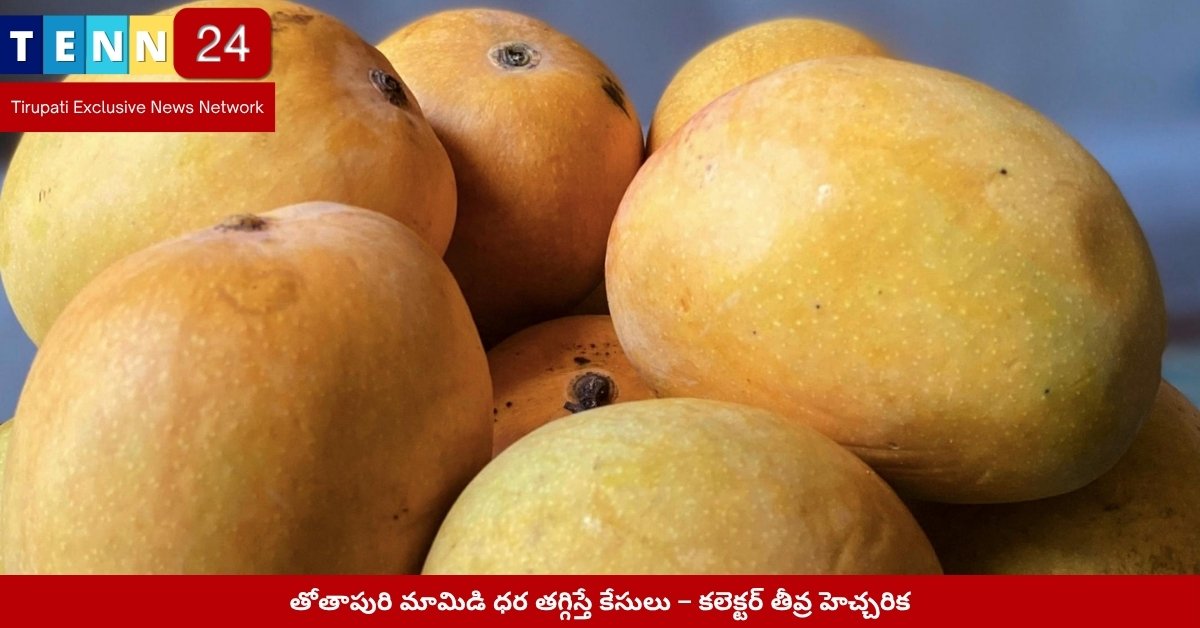 తోతాపురి మామిడితో వ్యాపారం – పాకాల వ్యాగన్లు తనిఖీ