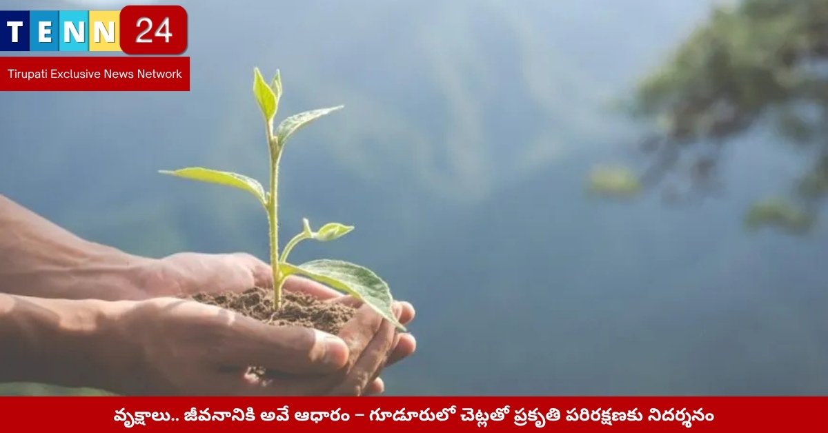 గూడూరులో గ్రామీణ రహదారుల వెంట పచ్చదనం – చెట్ల శ్రేణులు