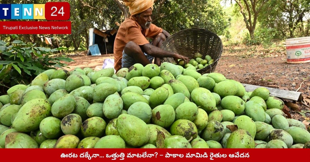 పాకాల మామిడి రైతులు మార్కెట్ వద్ద ధరలపై చర్చ