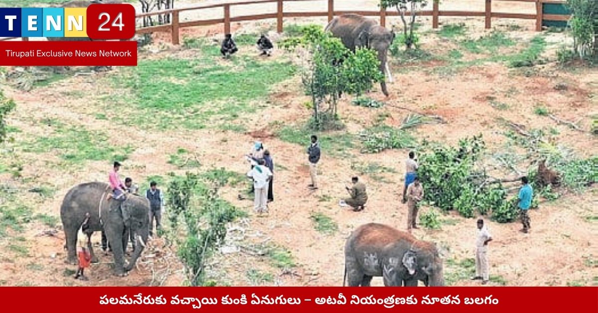 పలమనేరుకు వచ్చిన కుంకి ఏనుగులు – అటవీ శాఖ ప్రత్యేక వాహనాల్లో రవాణా