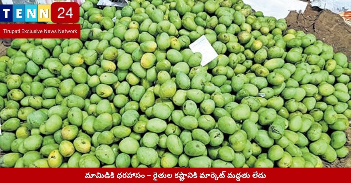 పాకాల రైతులు మార్కెట్‌కు తీసుకొచ్చిన మామిడి కాయలు