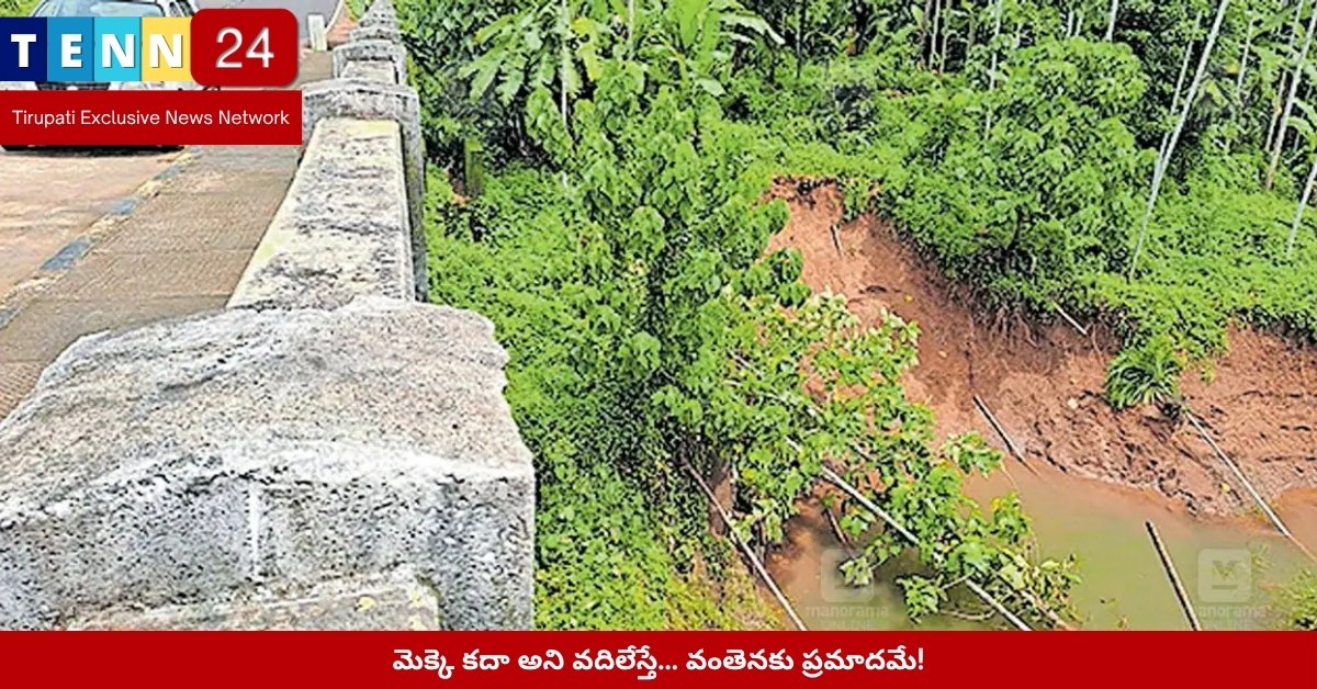 వంతెనపై పెరుగుతున్న మొక్కలు