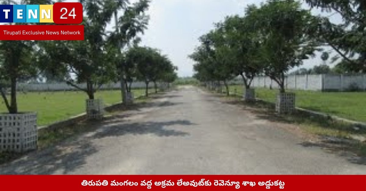 తిరుపతి మంగలం అక్రమ లేఅవుట్ ప్రాంతం