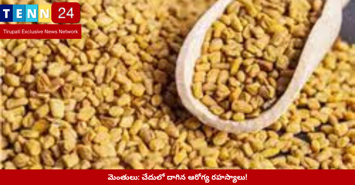 Fenugreek Seeds Health Uses Telugu
