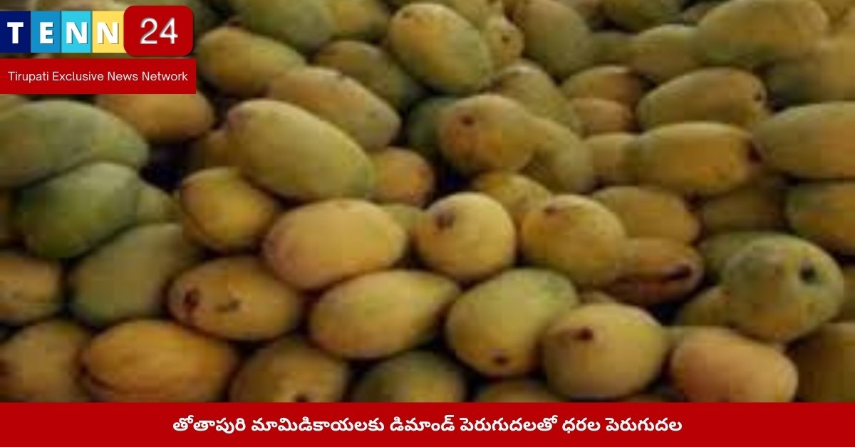 Totapuri Mango Price Hike in Bangarupalem Market