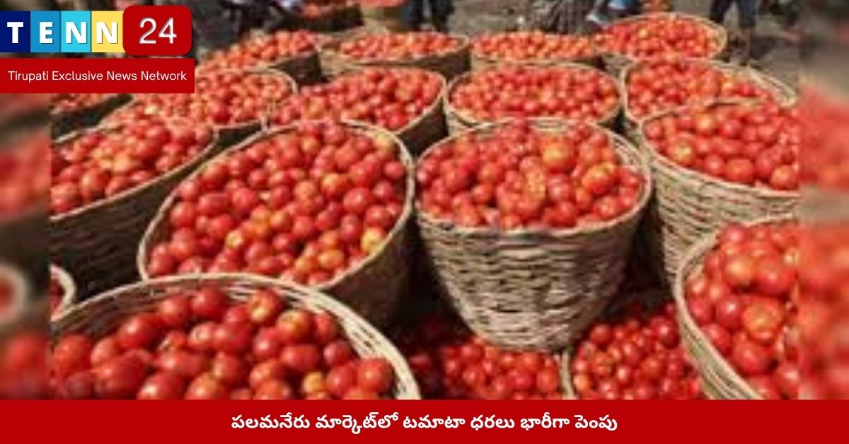 పలమనేరు మార్కెట్‌లో టమాటా ధరల పెరుగుదల