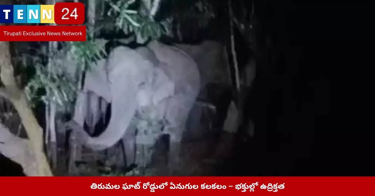 తిరుమల ఘాట్‌లో ఏనుగుల హల్‌చల్ దృశ్యం – ప్రతీకాత్మక చిత్రం