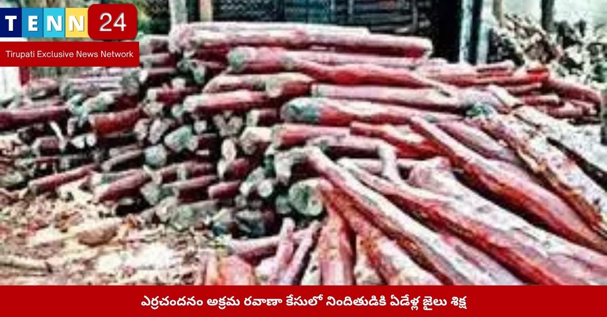 ఎర్రచందనం కేసులో న్యాయస్థాన తీర్పు దృశ్యం