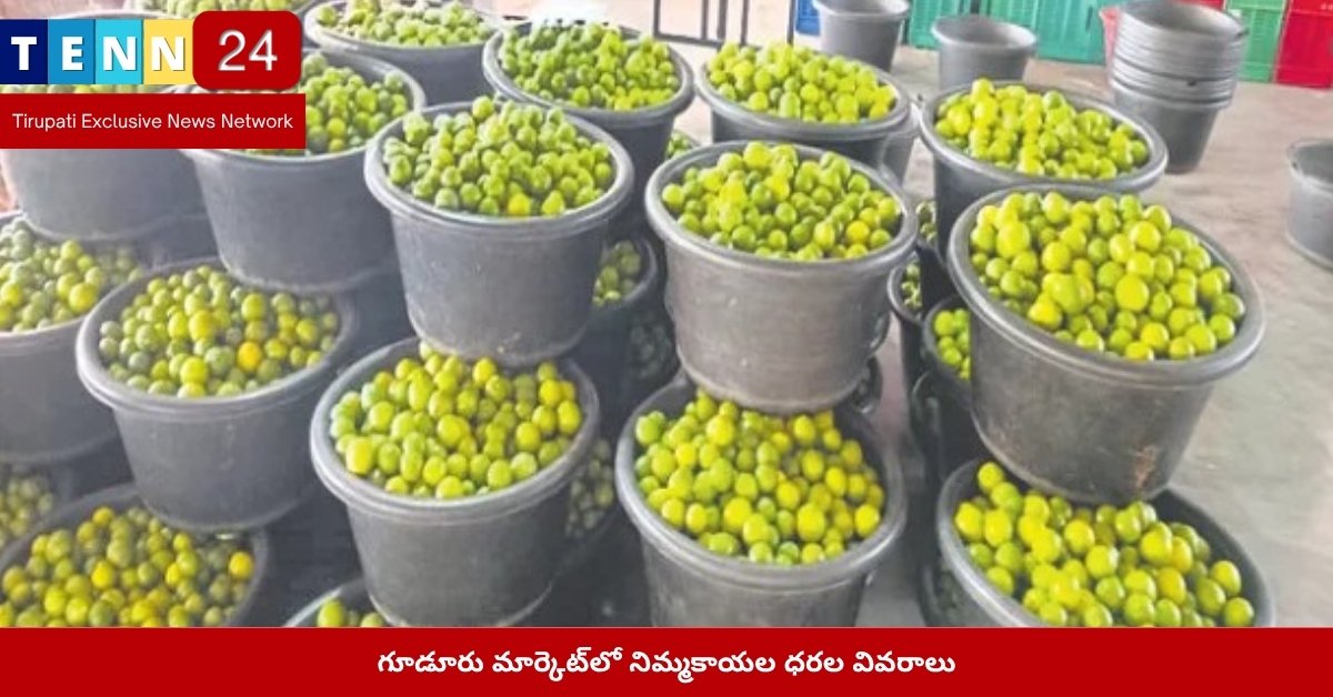 గూడూరు మార్కెట్‌లో నిమ్మకాయల ధరల వివరాలు