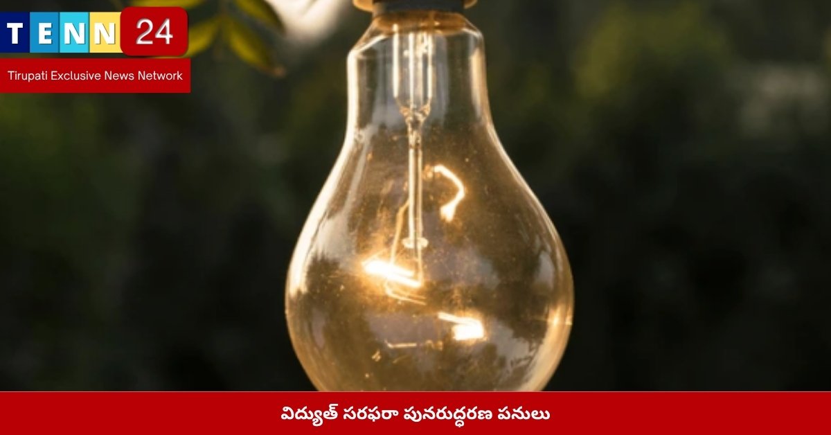 విద్యుత్ సరఫరా పునరుద్ధరణ పనులు