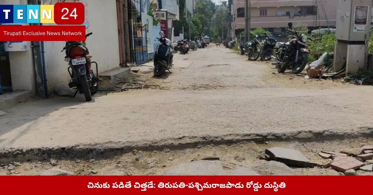 వర్షంలో తిరుపతి రహదారి దుస్థితి