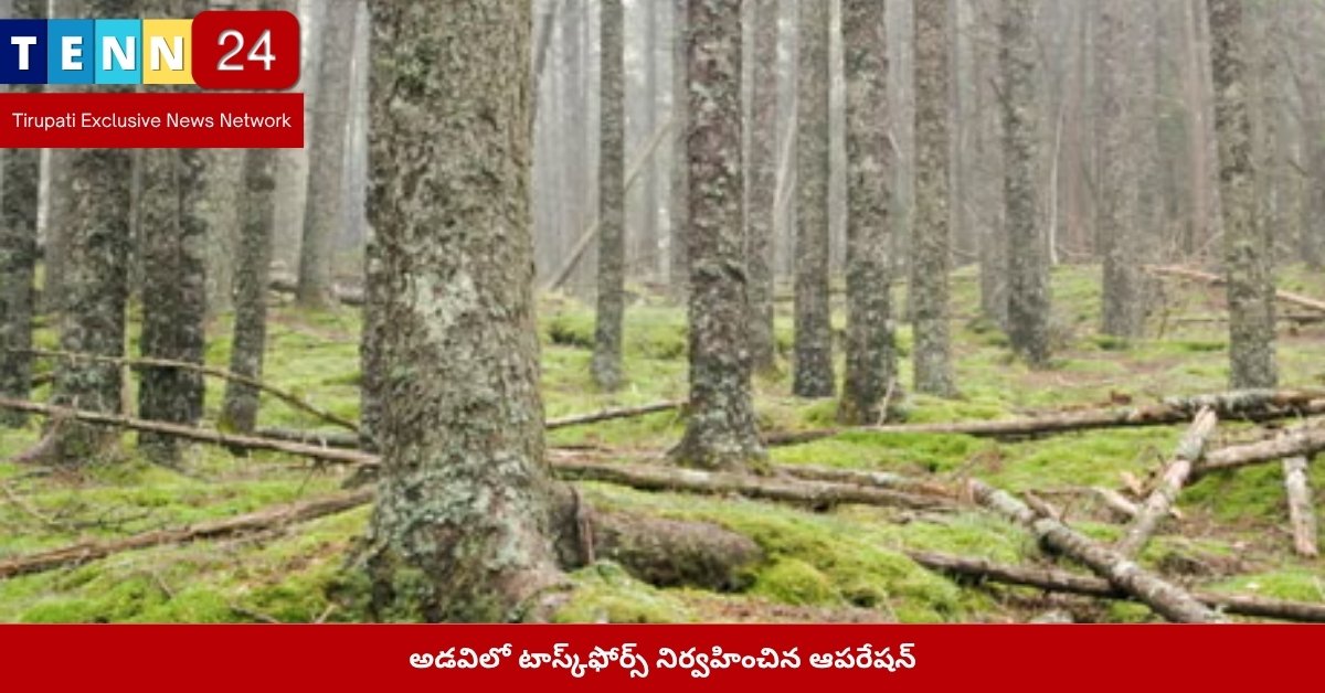 అడవిలో టాస్క్‌ఫోర్స్ నిర్వహించిన ఆపరేషన్