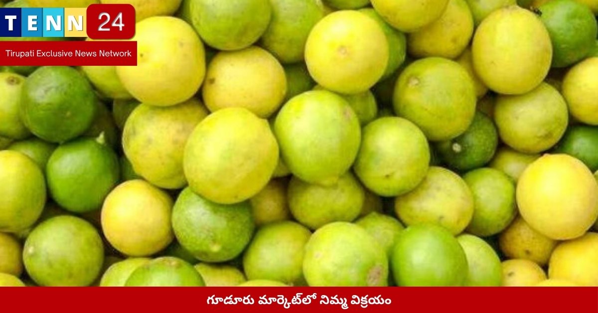 గూడూరు మార్కెట్‌లో నిమ్మ విక్రయం