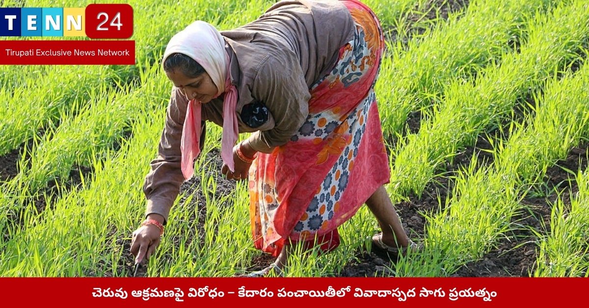కేదారం చెరువు ఆక్రమణ దృశ్యం