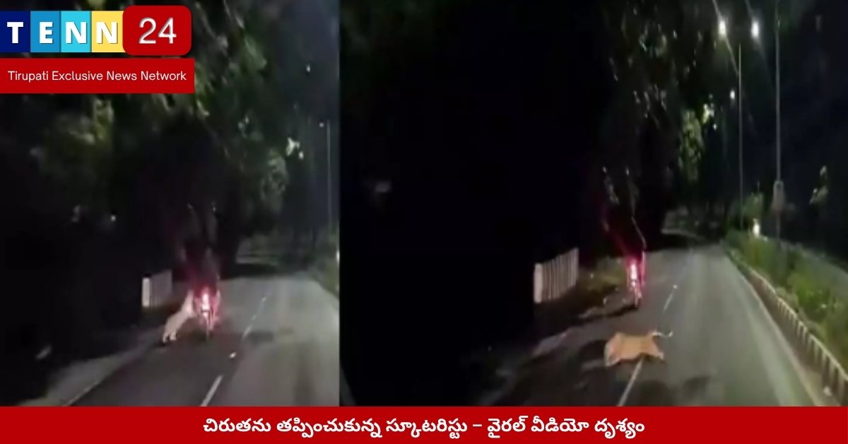 చిరుతను తప్పించుకున్న స్కూటరిస్టు – వైరల్ వీడియో దృశ్యం